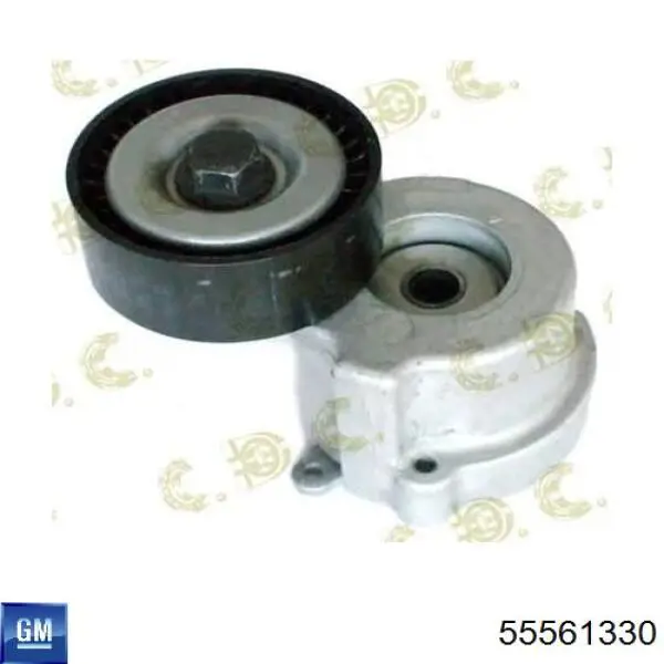 Comprar 55561330 General Motors Tensor de correa poli V 