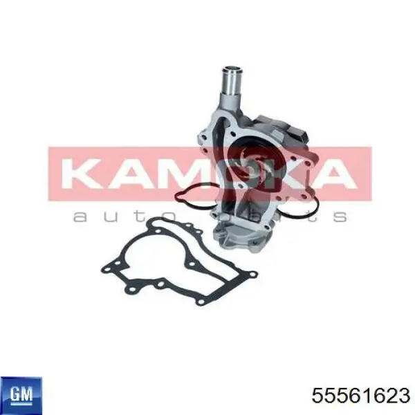Motor de agua General Motors 55561623