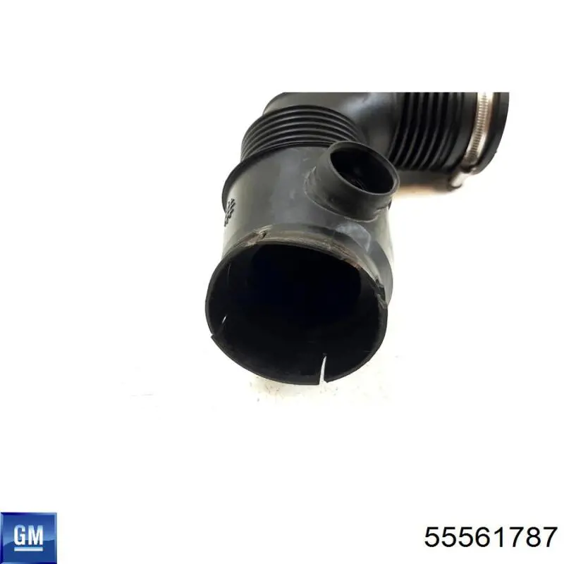 Manguito de aire del medidor de masa de aire General Motors 55561787 precio, desde 46,46 EUR