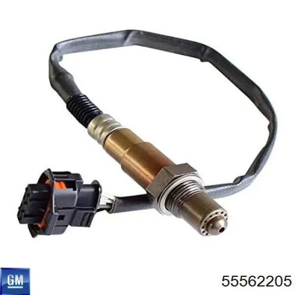 Sonda lambda, sensor de oxígeno después del catalizador derecho General Motors 55562205 precio, desde 61,00 EUR