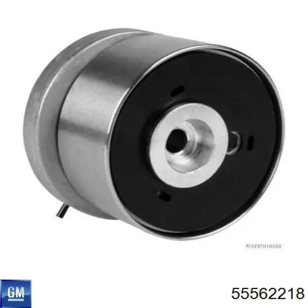 Tensor de la correa de distribución General Motors 55562218 precio, desde 42,58 EUR