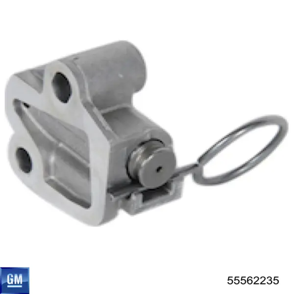 Tensor de cadena de distribución General Motors 55562235 precio, desde 24,66 EUR