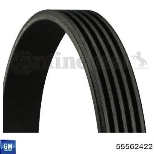 Correa de transmisión trapezoidal General Motors 55562422 precio, desde 13,17 EUR
