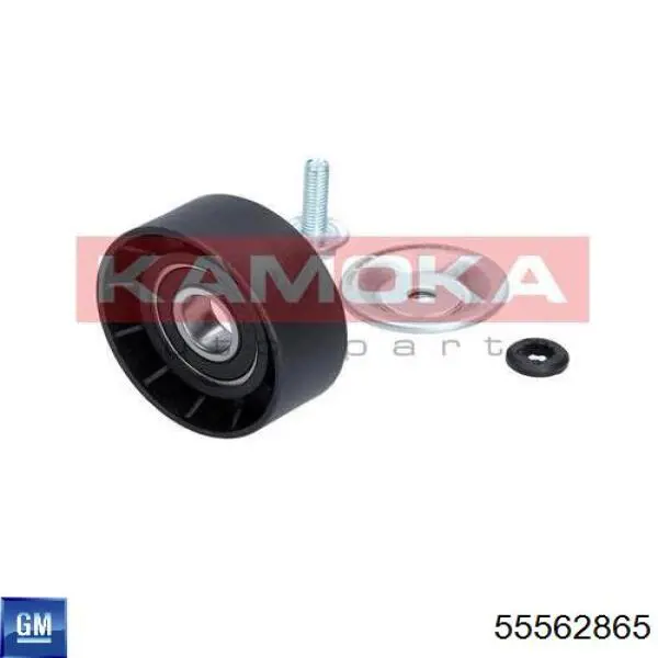 Polea inversión/guía, correa auxiliar servicios General Motors 55562865 precio, desde 10,25 EUR