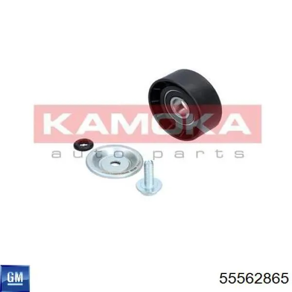 Comprar 55562865 General Motors Polea inversión/guía, correa poli V