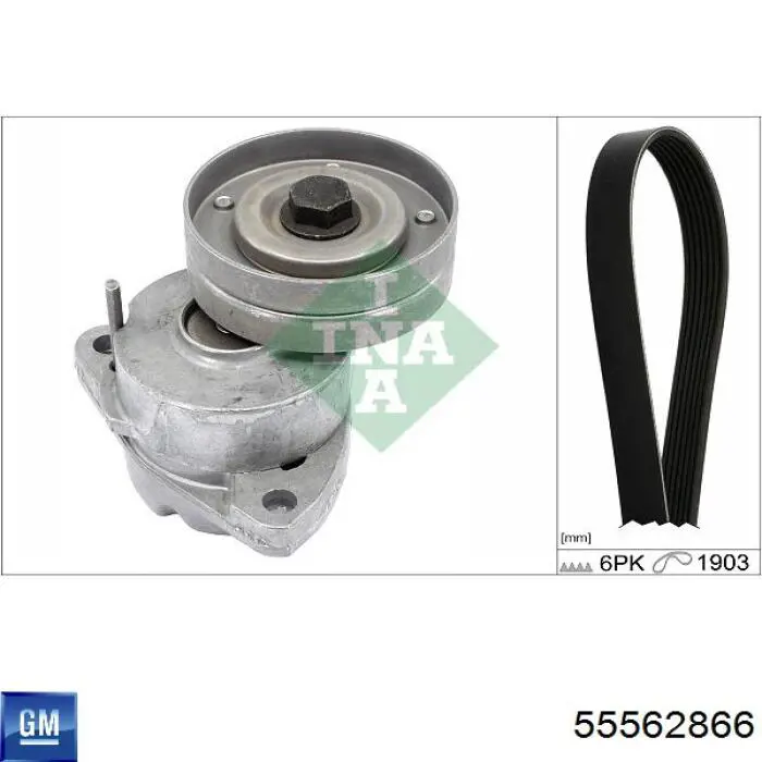Correa de transmisión trapezoidal General Motors 55562866 precio, desde 20,71 EUR