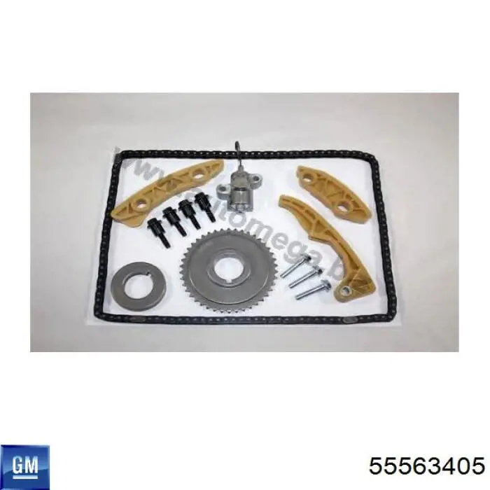 Cadena de distribución del eje de equilibrado General Motors 55563405 precio, desde 89,19 EUR