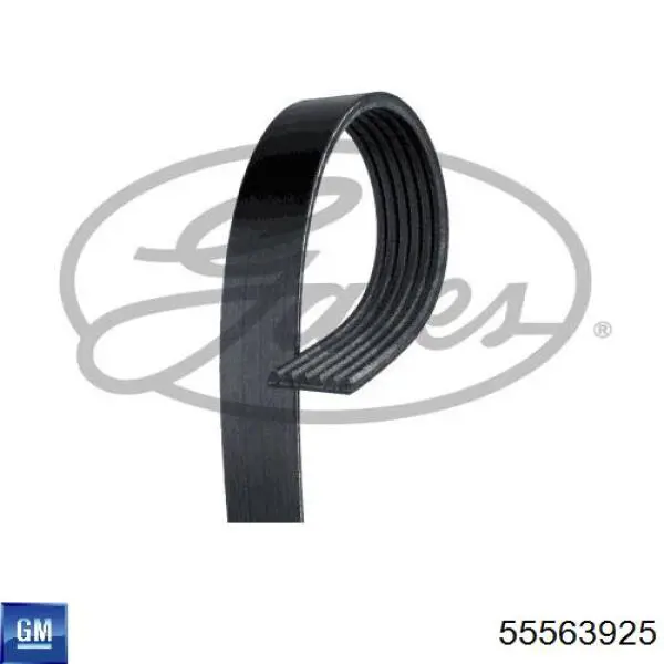 Comprar 55563925 General Motors Correa trapezoidal