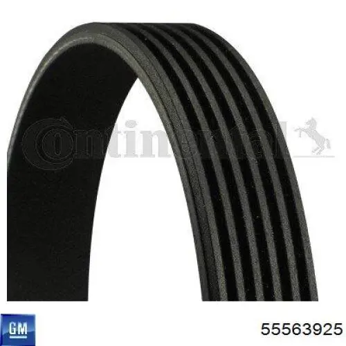 Correa de transmisión trapezoidal General Motors 55563925 precio, desde 13,52 EUR