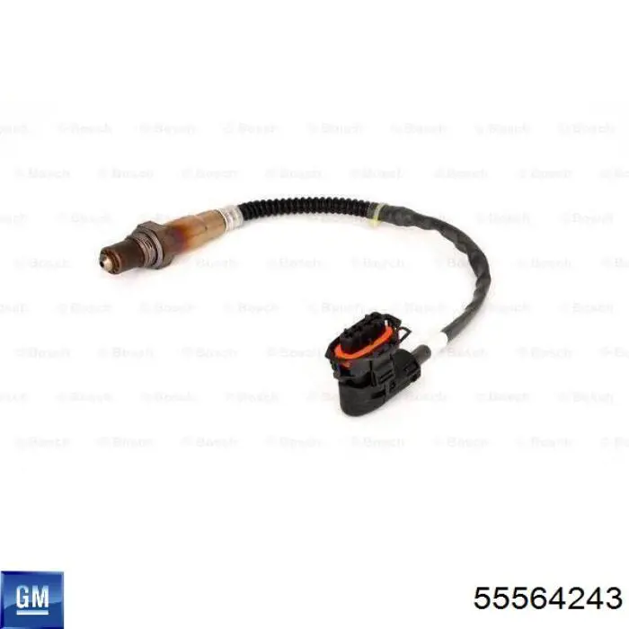 Comprar 55564243 General Motors Sonda lambda de oxígeno posterior al catalizador
