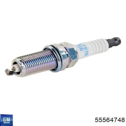 Bujías General Motors 55564748 precio, desde 11,24 EUR