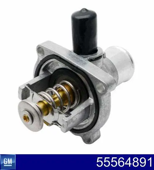 Comprar 55564891 General Motors Termostato