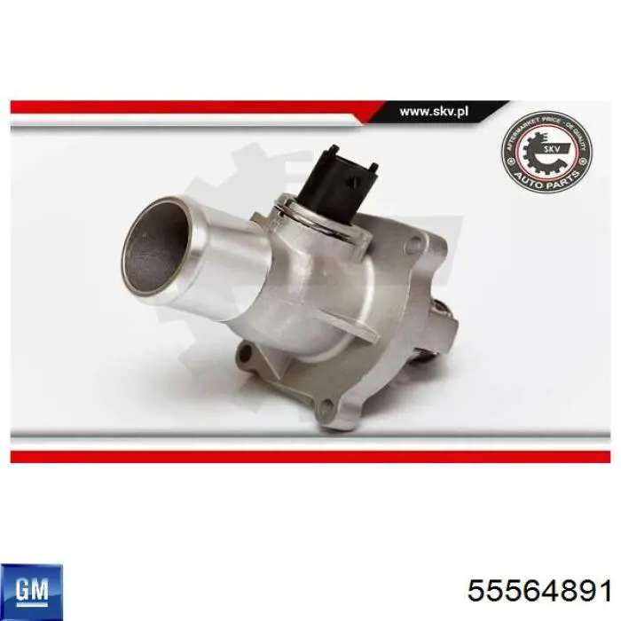 Comprar 55564891 General Motors Termostato