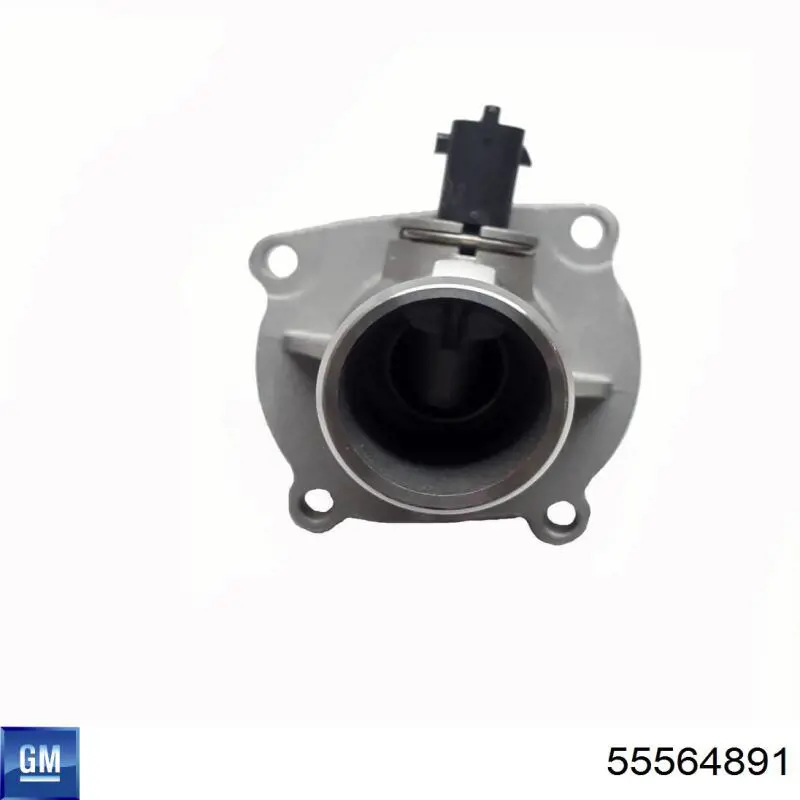 Termostato General Motors 55564891 precio, desde 18,73 EUR