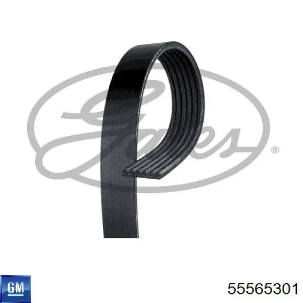 Comprar 55565301 General Motors Correa trapezoidal