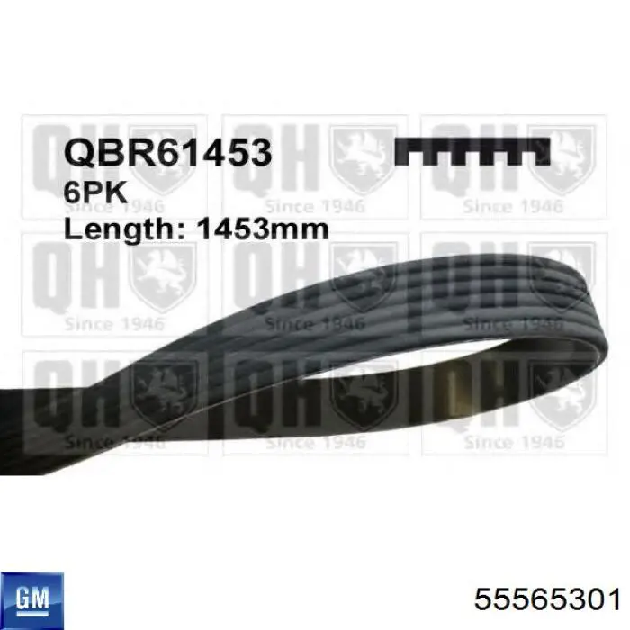 Correa de alternador 55565301 General Motors