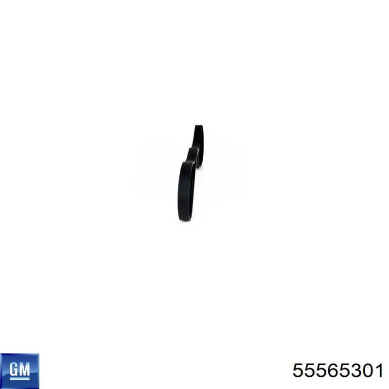 Correa de transmisión trapezoidal General Motors 55565301 precio, desde 13,72 EUR