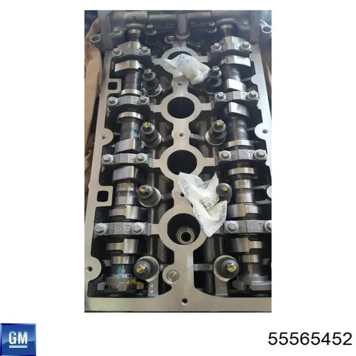  General Motors 55565452 precio, desde  EUR