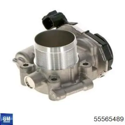 Cuerpo de aceleración completo General Motors 55565489 precio, desde 85,99 EUR