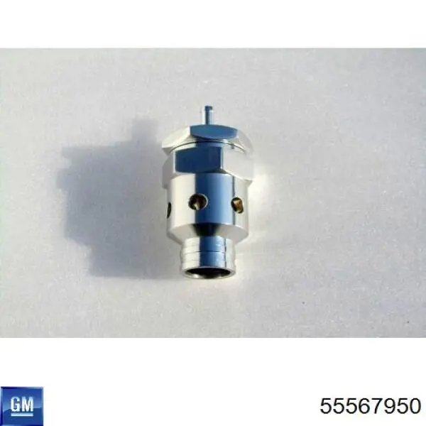 Comprar 55567950 General Motors Muelle de válvula