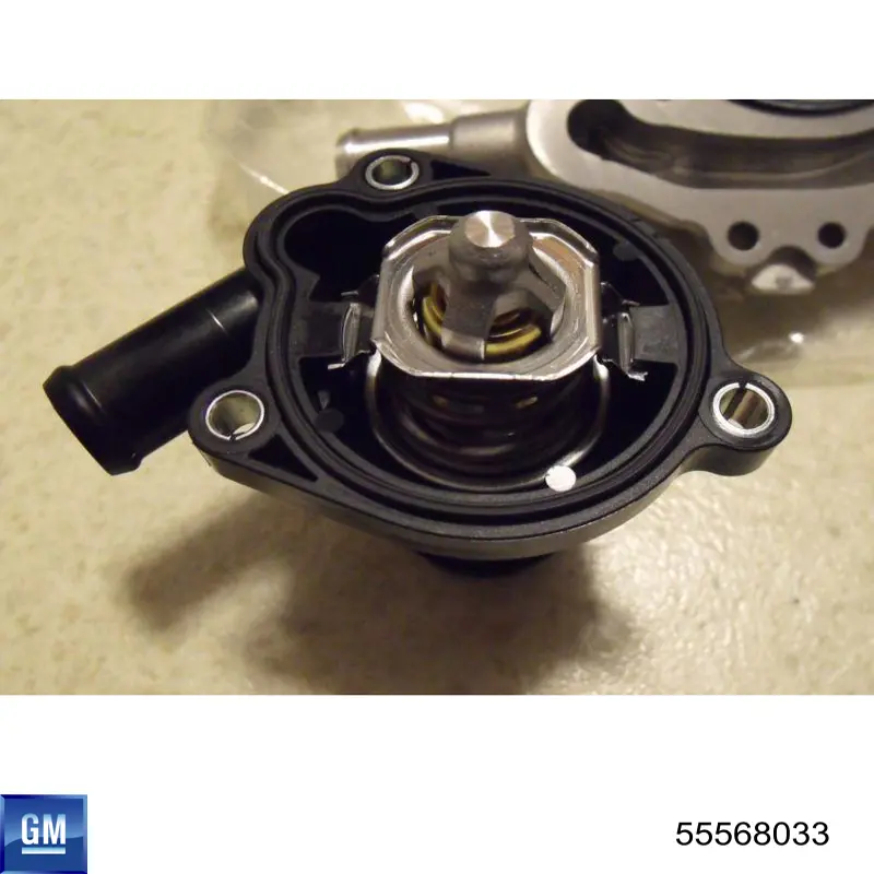 Junta de bomba de agua General Motors 55568033 precio, desde 5,39 EUR