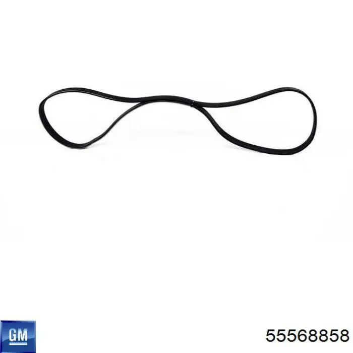 VKMV6PK1360 SKF Correa poly v
