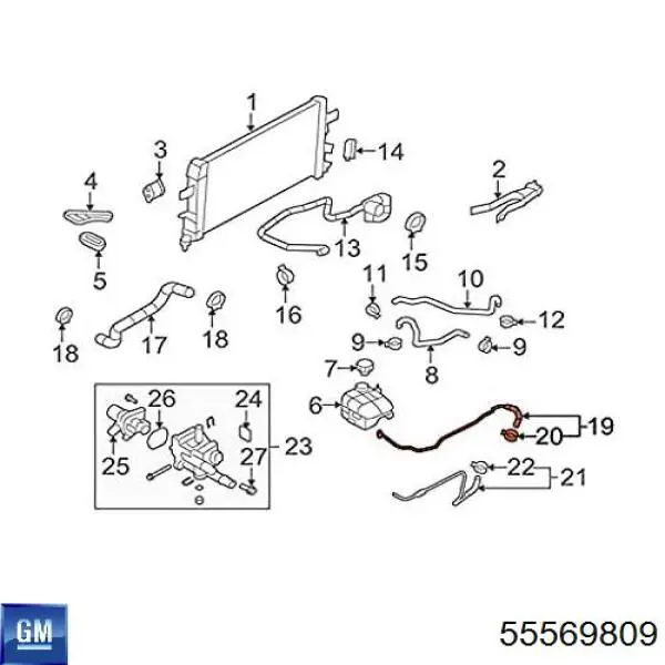 Comprar 55569809 General Motors Manguera de calefacción de la mariposa de aceleración