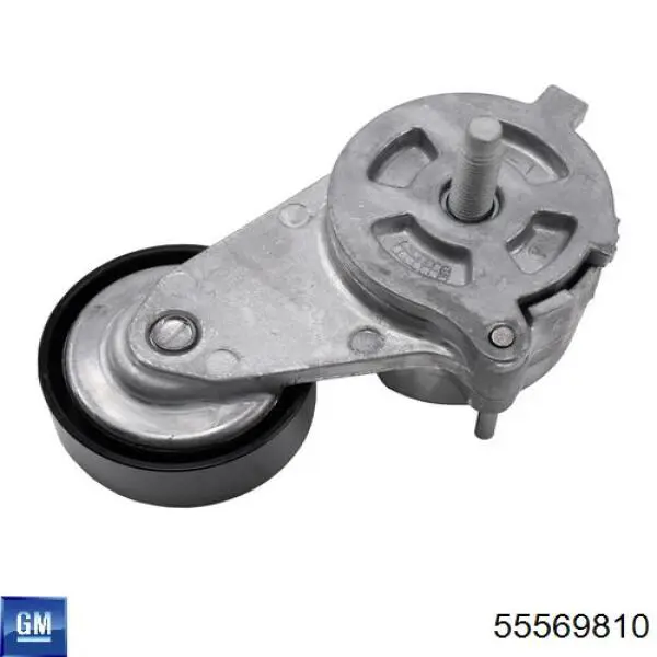 Correa accesorios Ford BK216C301CB