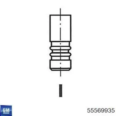 55569935 General Motors válvula de escape