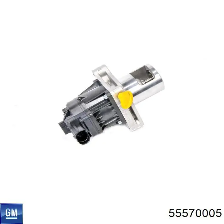 Válvula EGR 55570005 General Motors