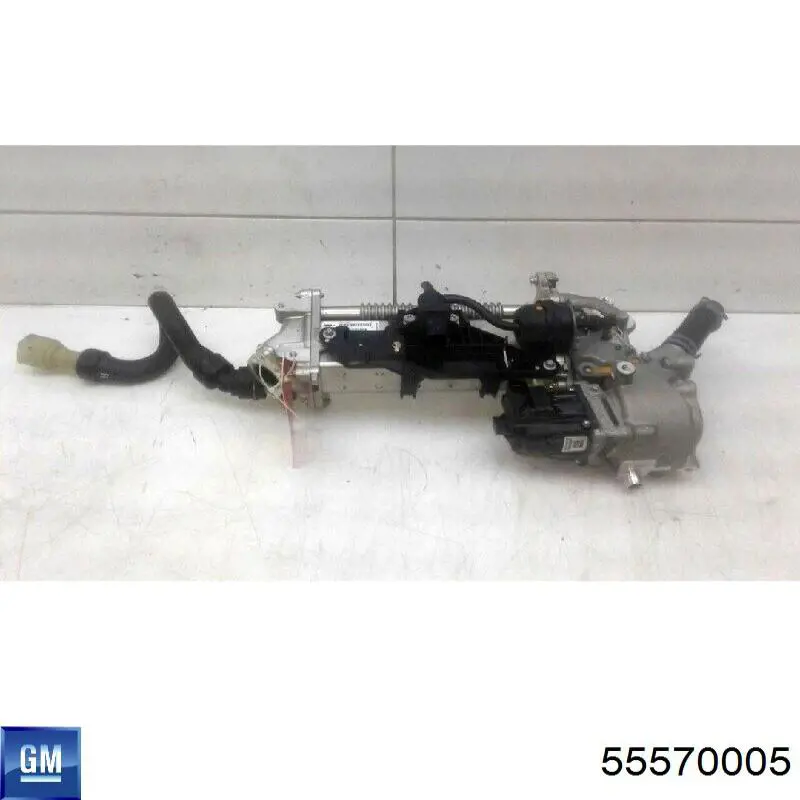 EGR Lucas LEV0438