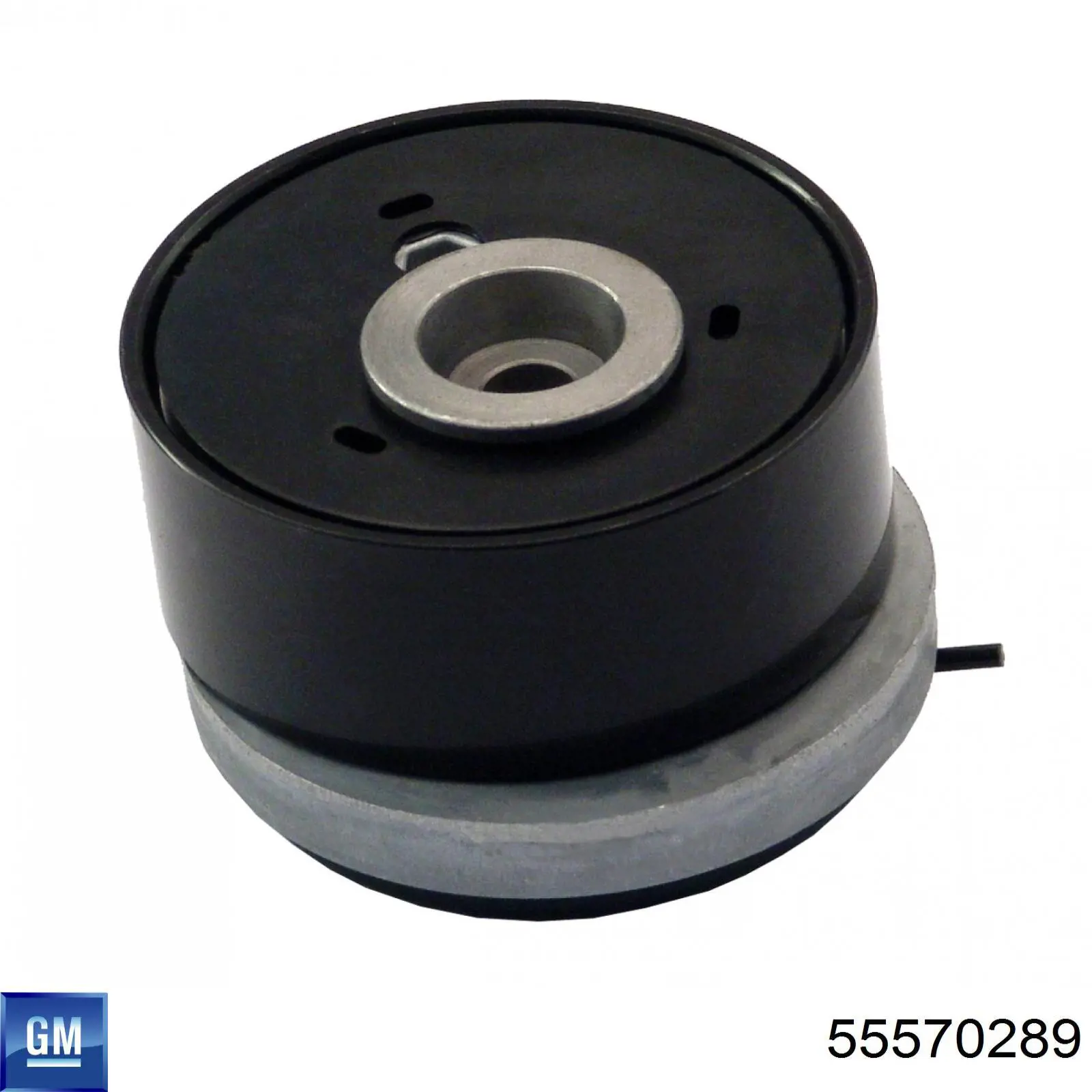 Comprar 55570289 General Motors Tensor correa distribución
