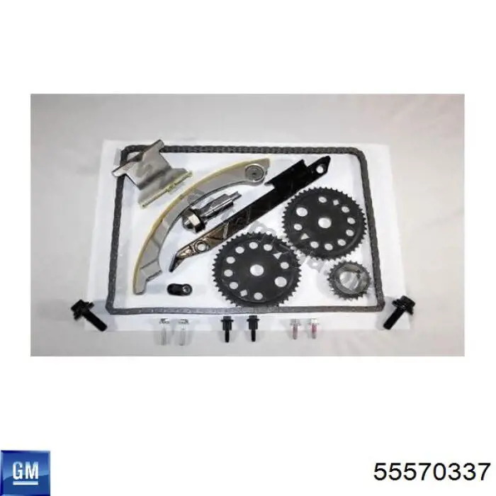 Comprar 55570337 General Motors Kit de cadena de distribución