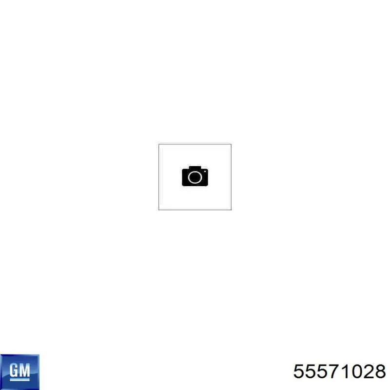 Comprar 55571028 General Motors Aros de pistón para 1 cilindro, STD
