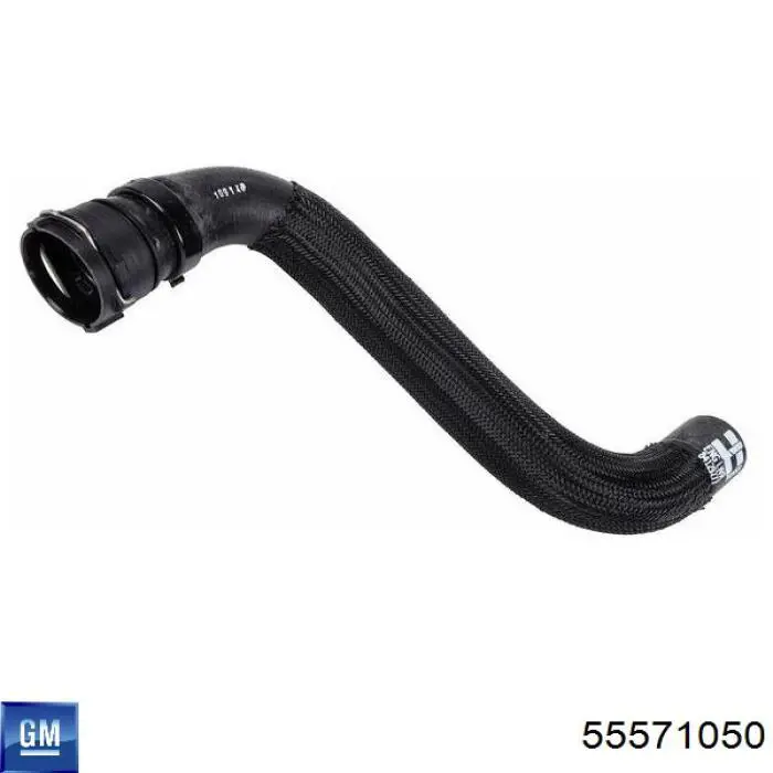 Comprar 55571050 General Motors Correa trapezoidal