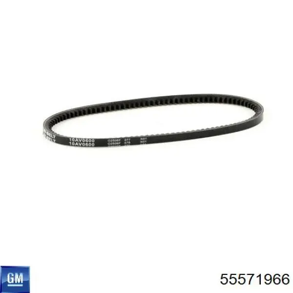Polea de alternador General Motors 55571966