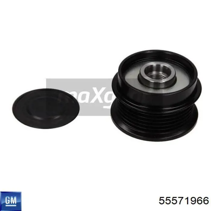Polea rueda libre General Motors 55571966 precio, desde 41,12 EUR