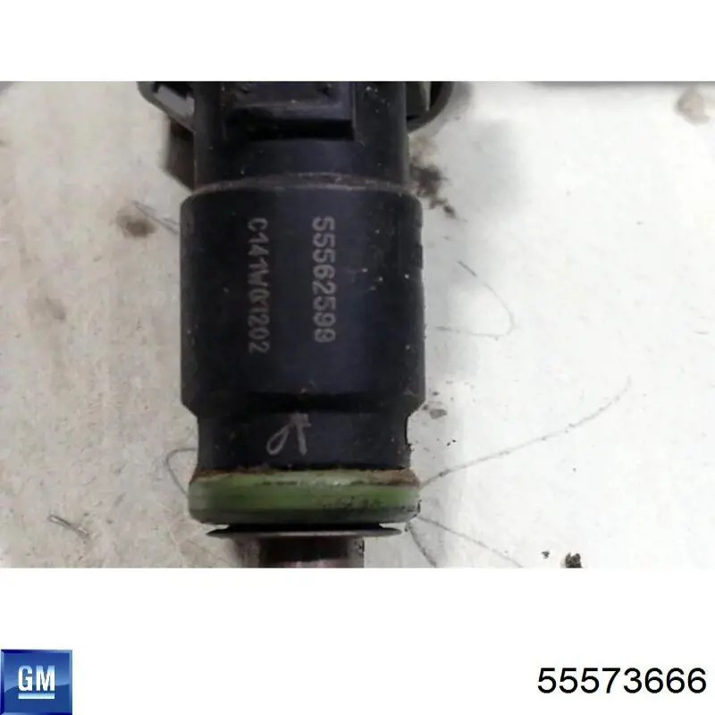 55573666 General Motors 
