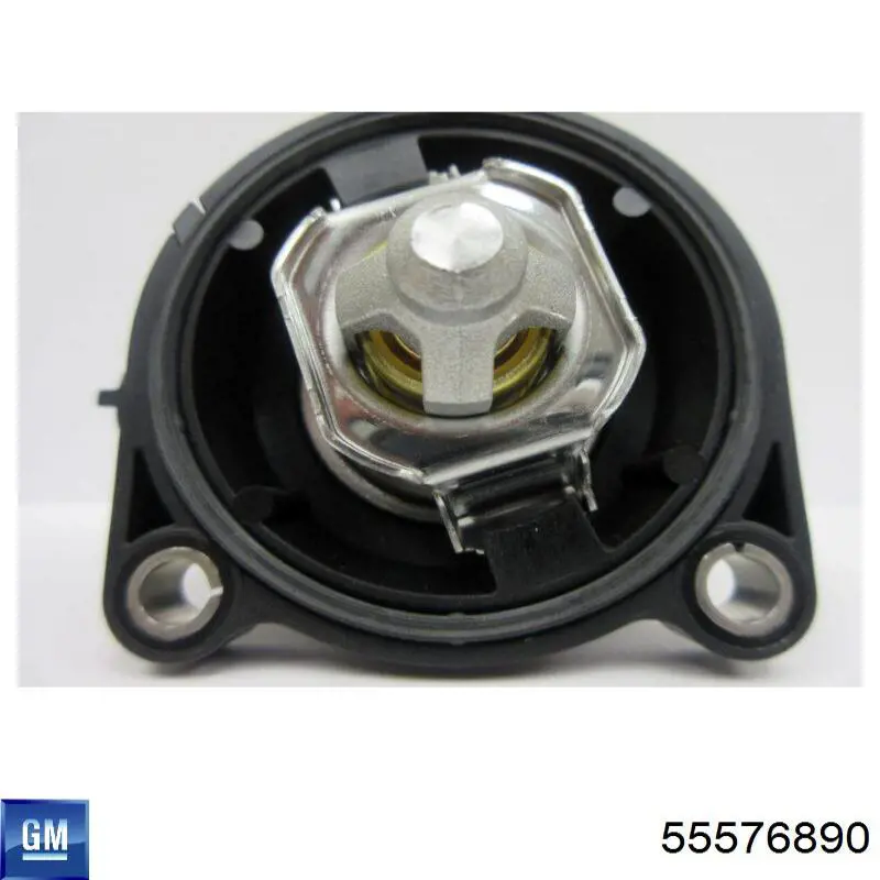 Termostato 55576890 General Motors