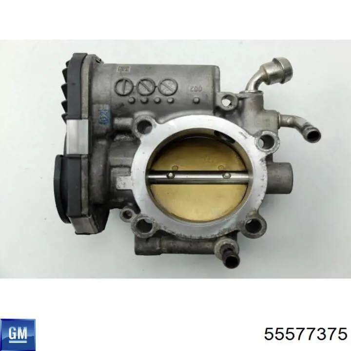 Cuerpo de aceleración completo General Motors 55577375 precio, desde 92,93 EUR