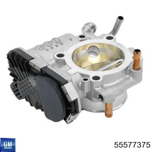 Comprar 55577375 General Motors Cuerpo de mariposa