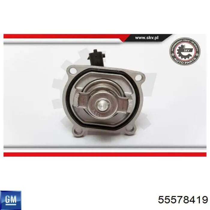 Comprar 55578419 General Motors Termostato