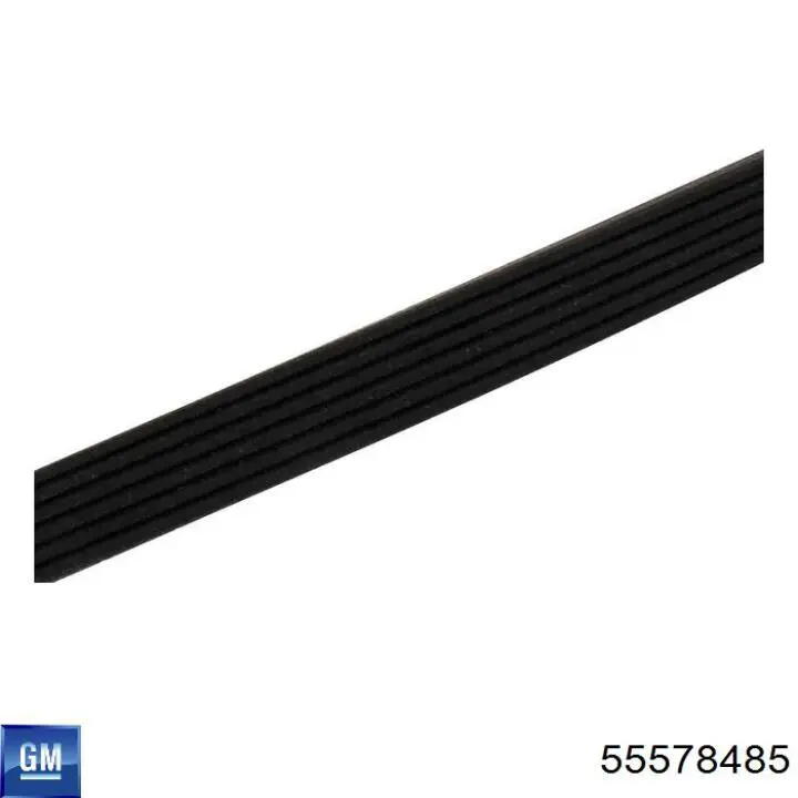 Correa accesorios Opel 55578485