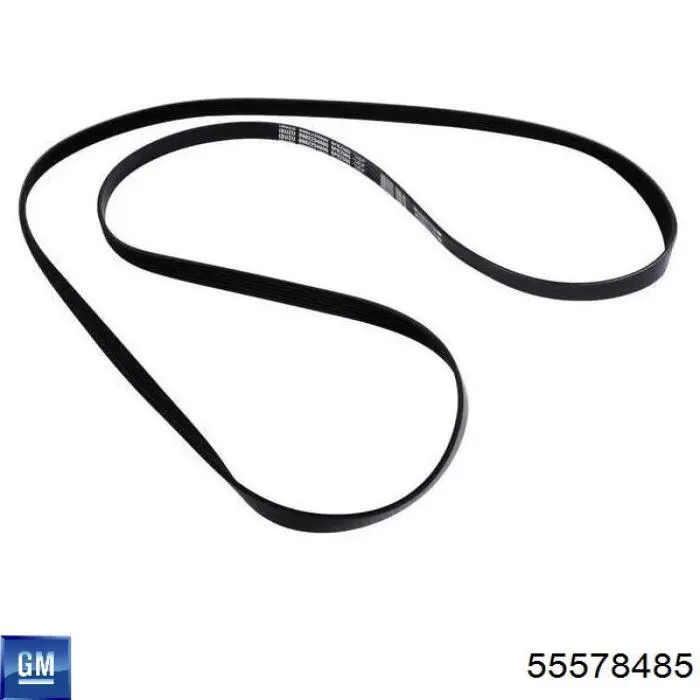 55578485 Opel Correa poly v