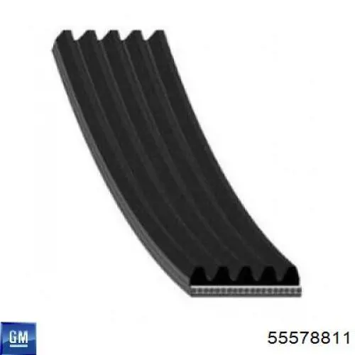 Correa de transmisión trapezoidal General Motors 55578811 precio, desde 13,66 EUR