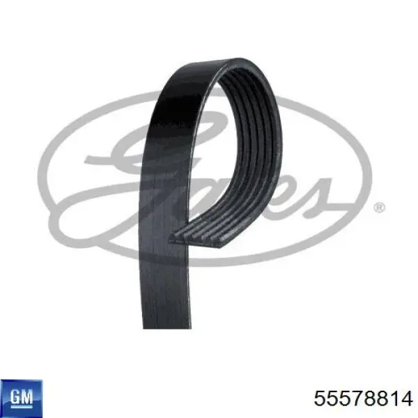 Correa de transmisión trapezoidal General Motors 55578814 precio, desde 13,85 EUR