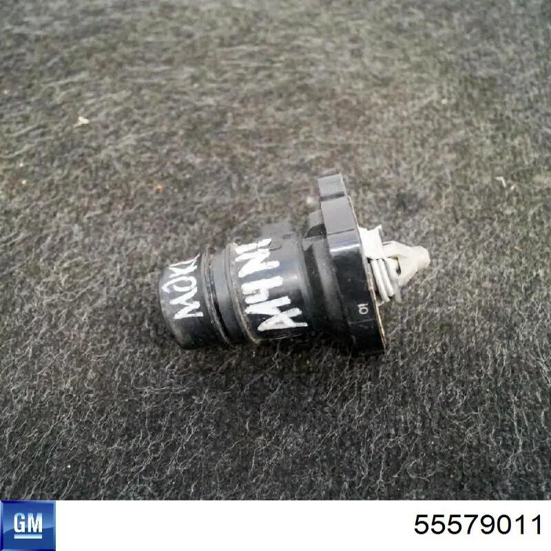 Termostato General Motors 55579011 precio, desde 30,37 EUR