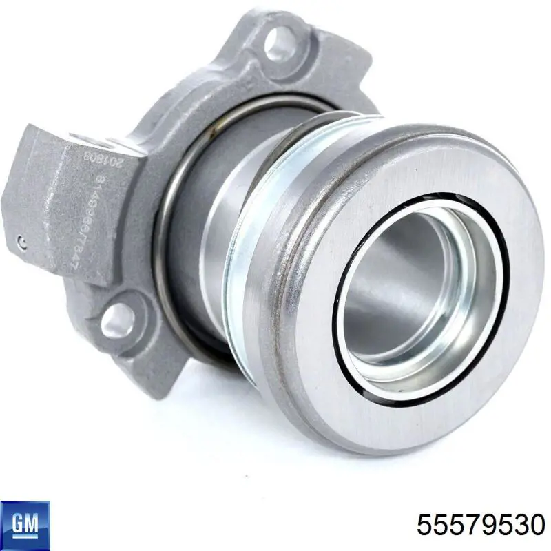 Desembrague central, embrague General Motors 55579530 precio, desde 41,11 EUR
