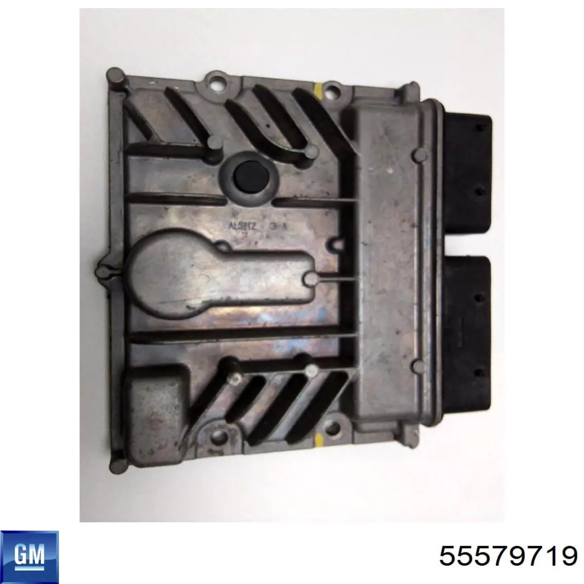 Unidad de control del motor  Opel 55579719 precio, desde 198,92 EUR