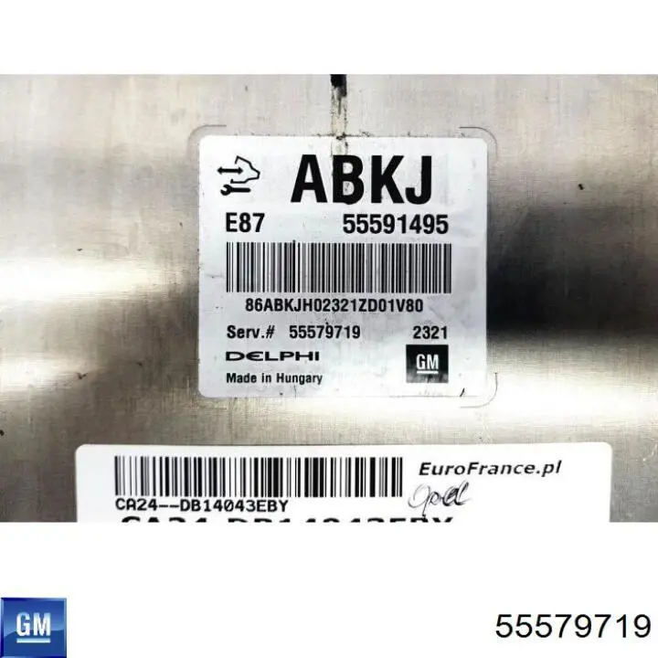 55579719 Opel Centralina Del Motor